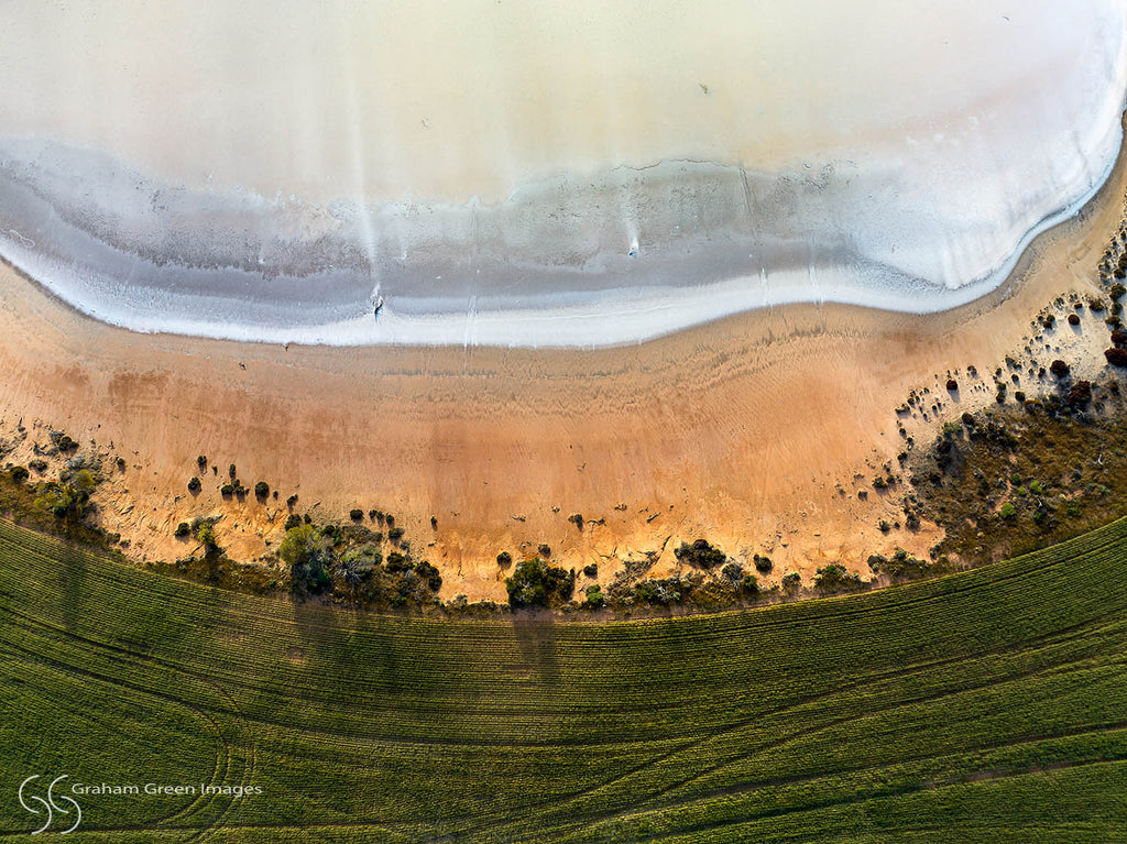 Salt Lake, Damboring -  SL0216