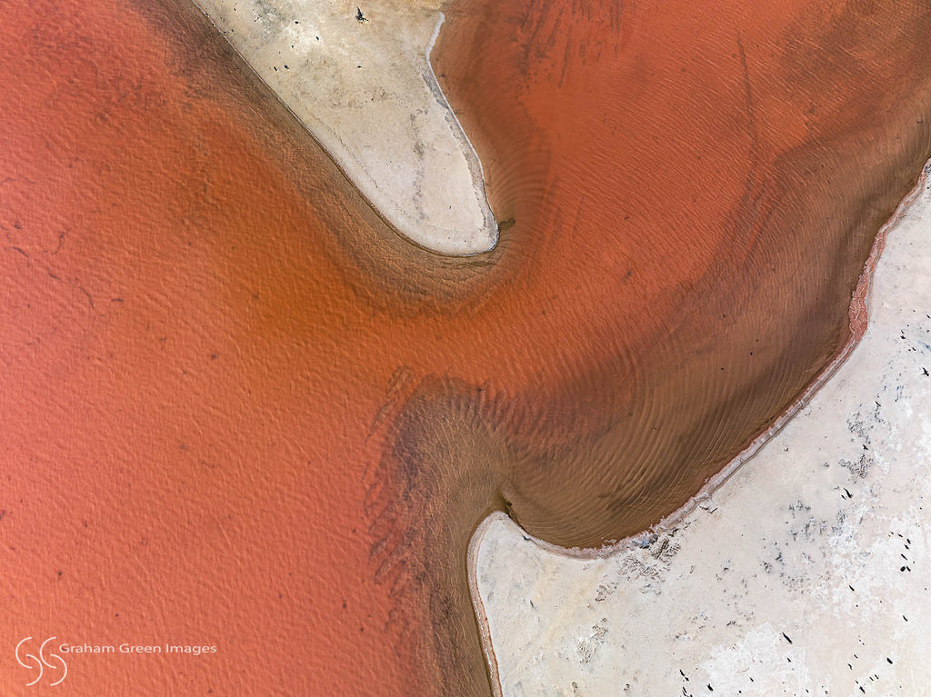 Salt Lake, Damboring -  SL0274