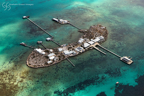 Little Pigeon Island, Abrolhos - LP9046
