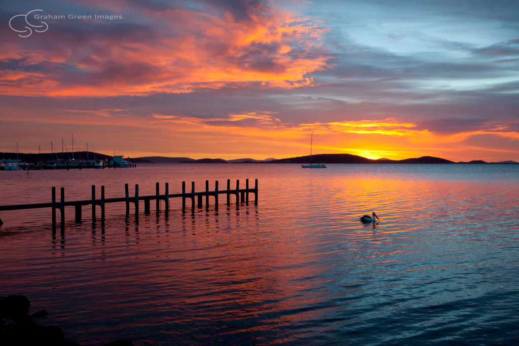 Albany Sunrise - GS2008