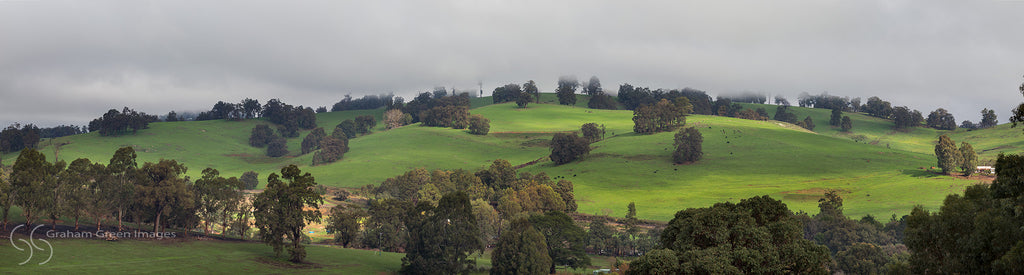 Farmland, Balingup - SW9060