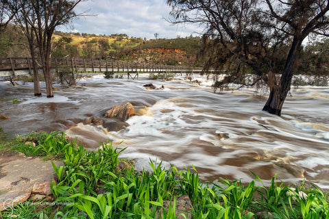 Bells Rapids, Swan Valley - BR8146