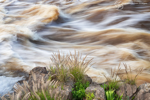 Bells Rapids, Swan Valley - BR8178