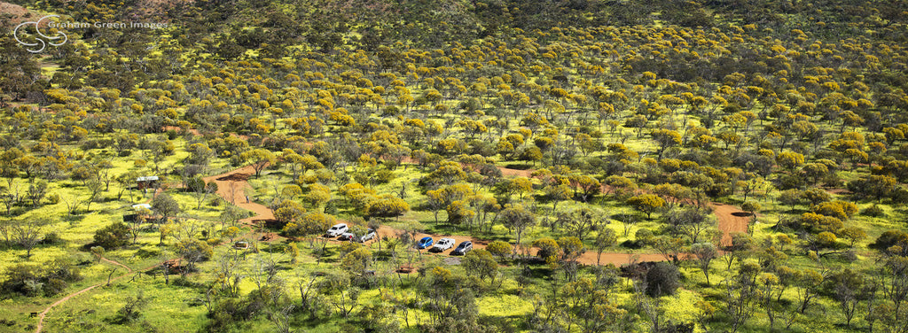 Coalseam, Western Australia - WF5030