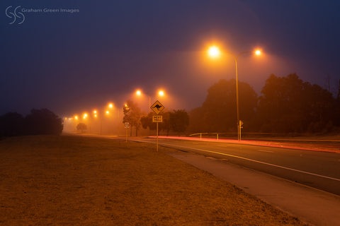 Foggy Morning, Woodvale - FM8460