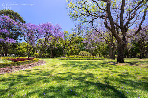 Hyde Park - HP9983