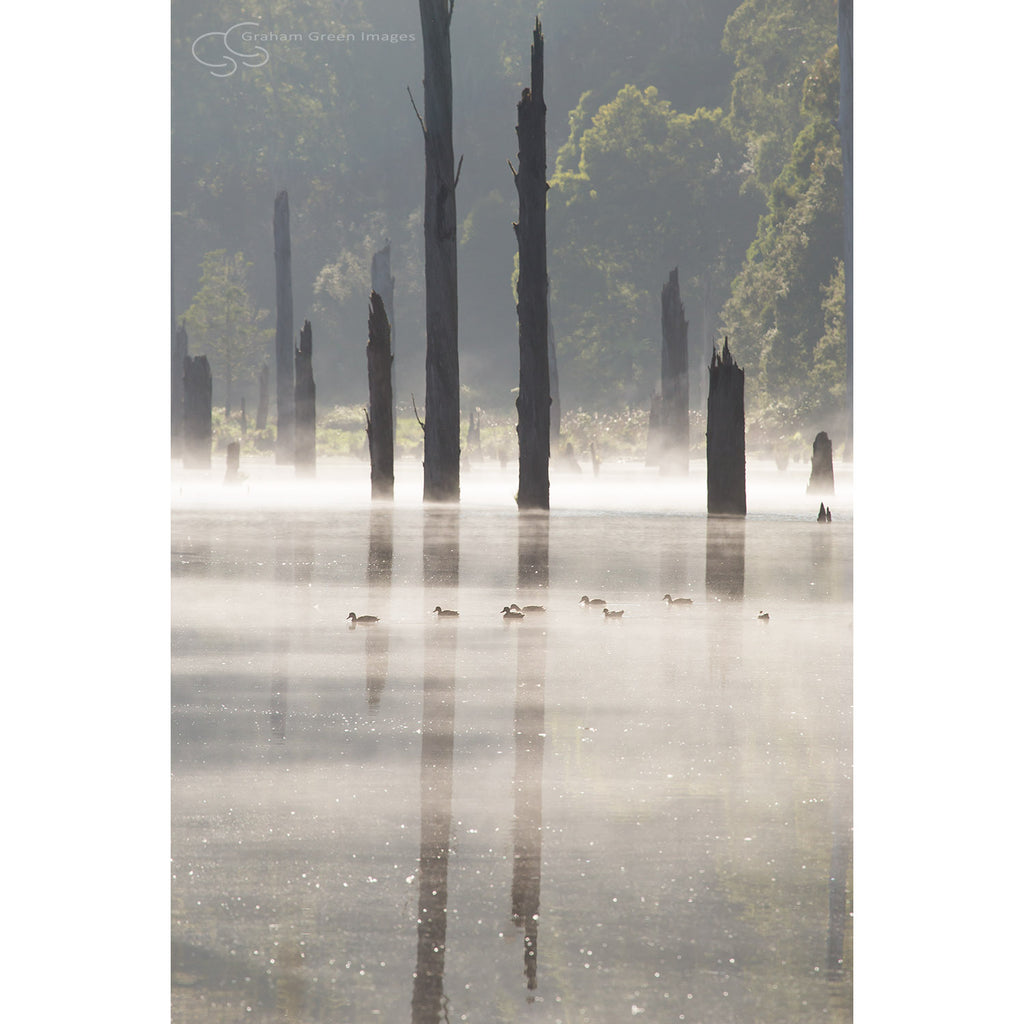 Lake Elizabeth, Victoria - VC5019