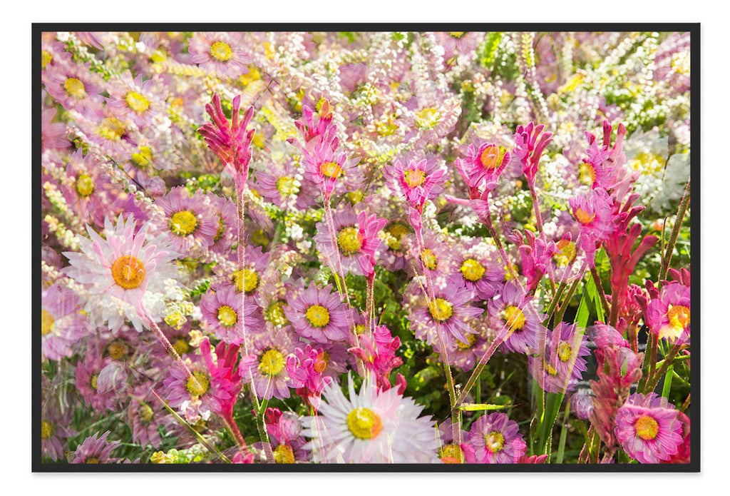 32 x 48" (80 x 120cm) Profile Frame - Black