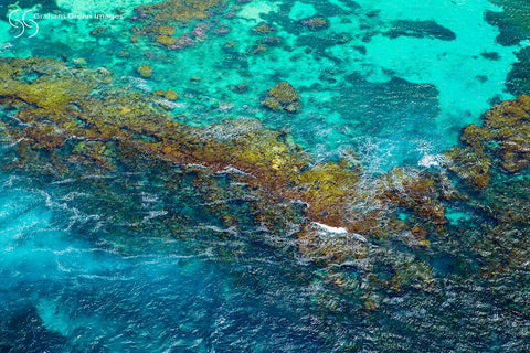 The Reef, Rottnest - RT5014