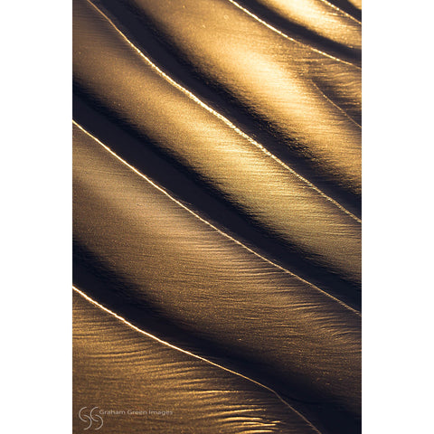 Ripples in the Sand - ES7200
