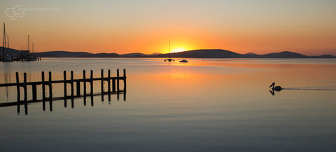 Albany Sunrise  - GS2038
