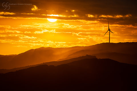 Wind Farm, Albany - WF9393