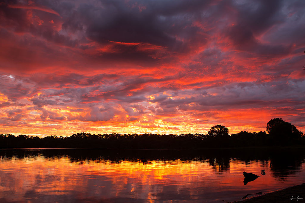 Woodvale Waters Canvas