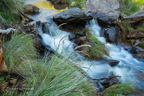 Bells Falls, Swan Valley - BF0990