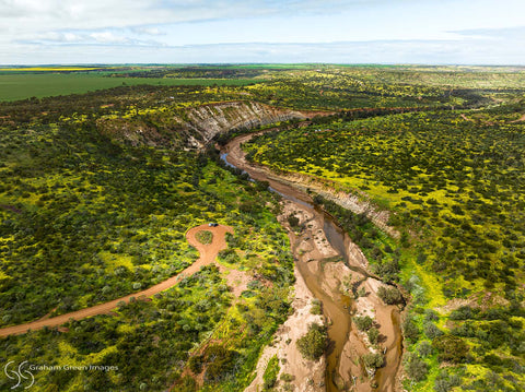 Coalseam, Mingenew - CM0007