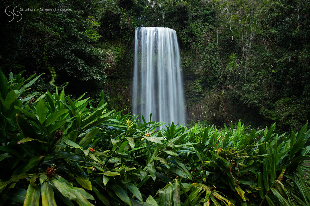 Millaa Millaa Falls - MM1938
