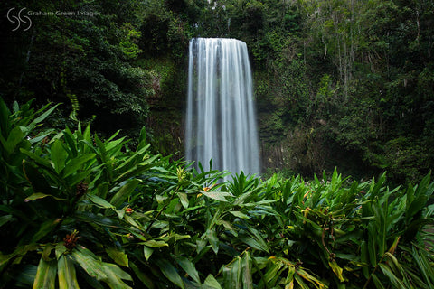 Millaa Millaa Falls - MM1938