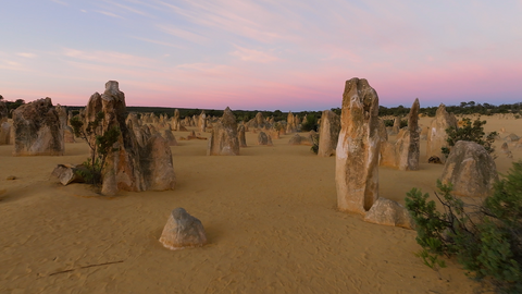 Pinnacles Desert - PDV003