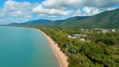 Palm Cove - PCV001