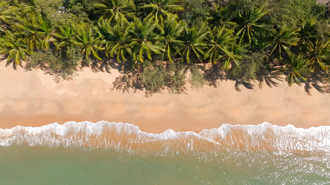 Palm Cove - PCV002