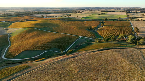Barossa Valley - BVV002