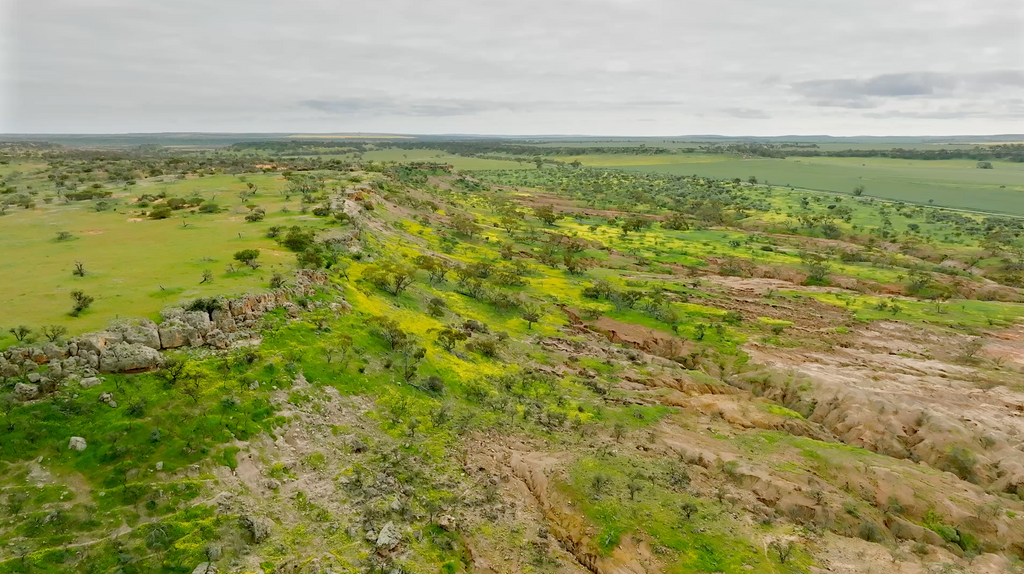 Coalseam Conservation Park - CSV002