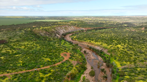 Coalseam Conservation Park - CSV004