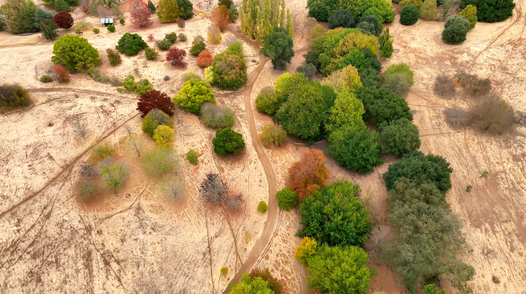 Golden Valley Tree Park - GVV001
