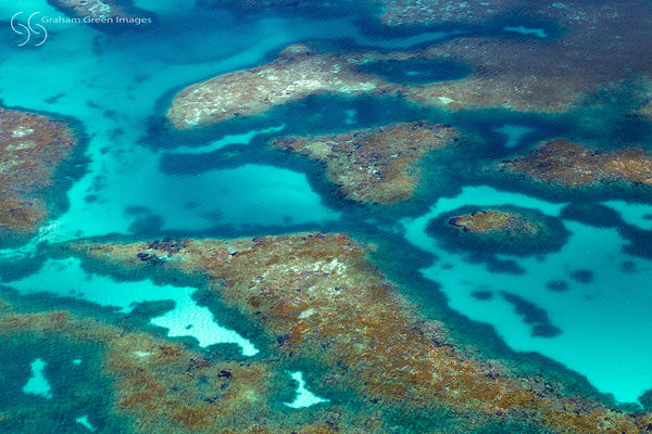 Coral Reefs, Abrolhos - CR9084