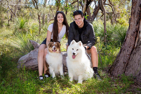 Pet Photoshoot