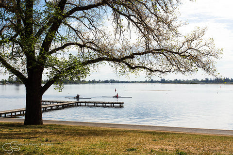 Lake Wendouree, Ballarat - VC5051