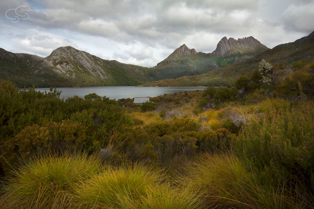 Cradle Mountain, Tasmania - TA3002