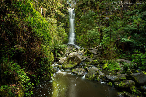 Erskine Falls, Victoria - VC5055