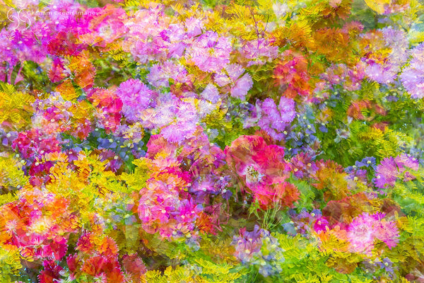 Nannup Flowers Jigsaw Puzzle - NFJ3115