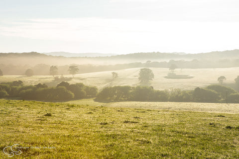 Foggy Morning, Victoria - VC5025