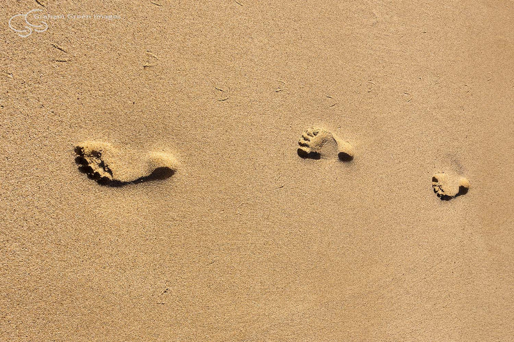 Footsteps, Ningaloo - NG8016