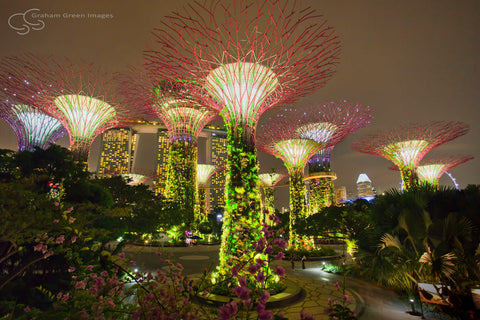 Singapore Gardens - SP9002
