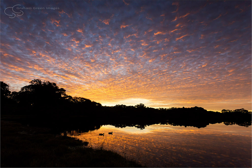 Sunset, Lake Joondalup - JN4110