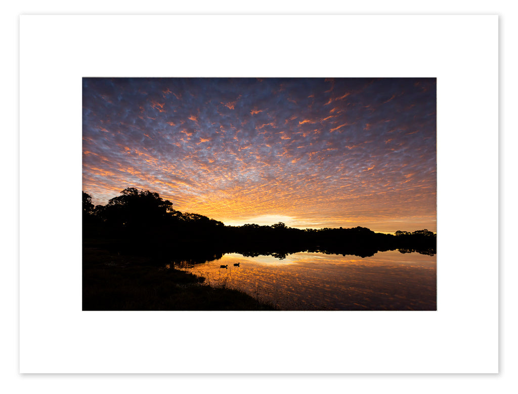 Lake Joondalup Sunset Mounted Print - JNM4110