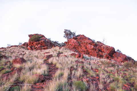 Lookout, Newman - LM9030