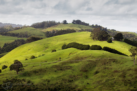 Otway Hills, Victoria - VC5030