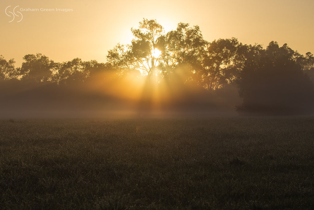 Sunrise, Perry's Paddock - PP7726