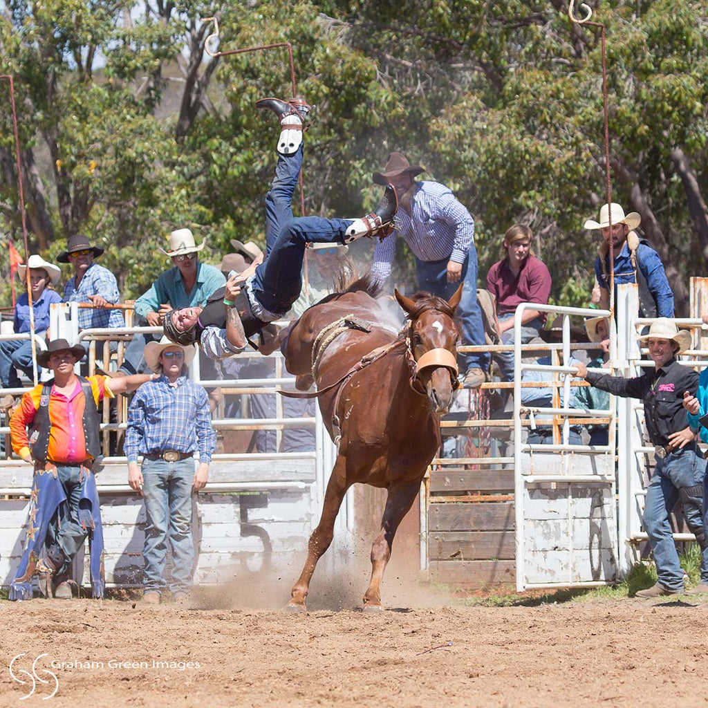 Boddington Rodeo - BR2006