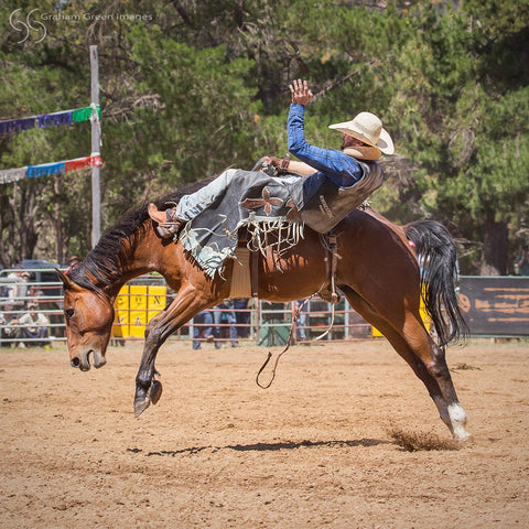 Boddington Rodeo - BR2008